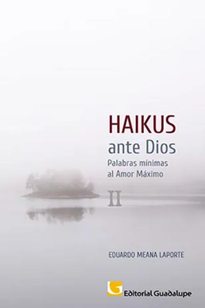 Haikus ante Dios II