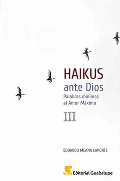 Haikus ante Dios III